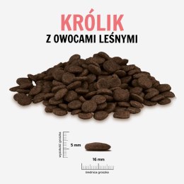 Paka Zwierzaka Królik z owocami leśnymi „L