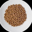 VET RESPONSE RENAL karma dla psa 1,6 kg