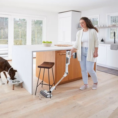 Odkurzacz pionowy Clean&Empty IW3612EU SKARK