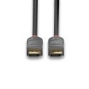 Lindy 36487 kabel DisplayPort 15 m Czarny