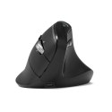 Mysz PORT CONNECT | ERGO AUDITOR | Bezprzewodowa | Bluetooth, 2,4 GHz | Czarna