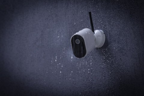 ABUS PPIC54520 kamera przemysłowa Kopułowa Kamera bezpieczeństwa IP Zewnętrzna 3840 x 2160 px Ściana