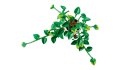 LEGO Botanical Collection 11512 - Wiszące epipremnum złociste