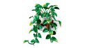 LEGO Botanical Collection 11512 - Wiszące epipremnum złociste
