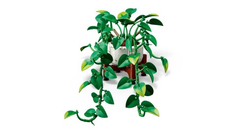 LEGO Botanical Collection 11512 - Wiszące epipremnum złociste