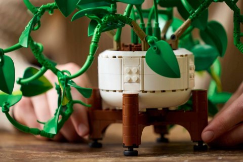 LEGO Botanical Collection 11512 - Wiszące epipremnum złociste