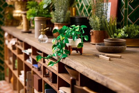 LEGO Botanical Collection 11512 - Wiszące epipremnum złociste
