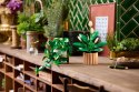 LEGO Botanical Collection 11512 - Wiszące epipremnum złociste