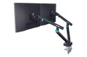 Digitus Podwójne mocowanie monitora, 2x 35", 2x 10 kg