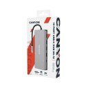 Canyon DS-12 USB 3.2 Gen 1 (3.1 Gen 1) Type-C Szary