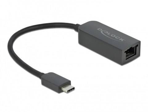 DeLOCK Adapter USB Type-C męski do 2,5 Gigabit LAN kompaktowy