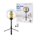 LogiLink AA0156 pierścień świetlny 95 LED
