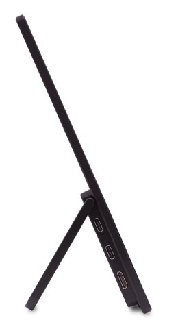 Acer PM161Wbmiuux 40cm 16:10 6ms 220nits15.6' monitor komputerowy