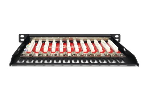 Digitus Panel krosowy CAT 6A Slim, ekranowany, 12-portowy, 0,5 U, 10", czarny