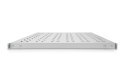 Digitus Półka ze zmiennymi szynami mocującymi do montażu stałego w szafach 483 mm (19")