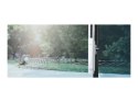 TP-LINK | Punkt dostępowy radiowy | EAP110-Outdoor | Bezprzewodowy | 2,4 GHz | PoE | Typ obudowy: do montażu na ścianie | 300 Gb