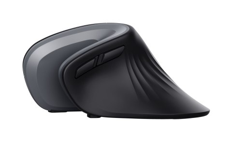 Trust Verro myszka Biuro Po prawej stronie RF Wireless Optyczny 1600 DPI