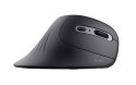Trust Verro myszka Biuro Po prawej stronie RF Wireless Optyczny 1600 DPI