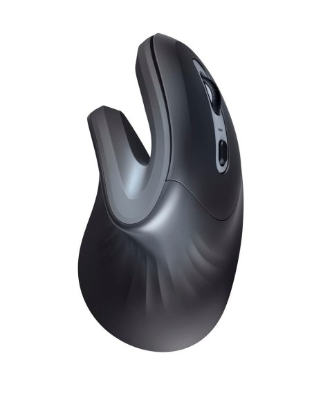 Trust Verro myszka Biuro Po prawej stronie RF Wireless Optyczny 1600 DPI