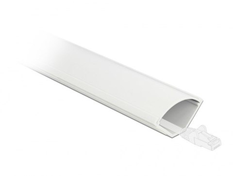 DeLOCK Korytko kablowe, kątowe 43 x 23 mm - długość 1 m białe