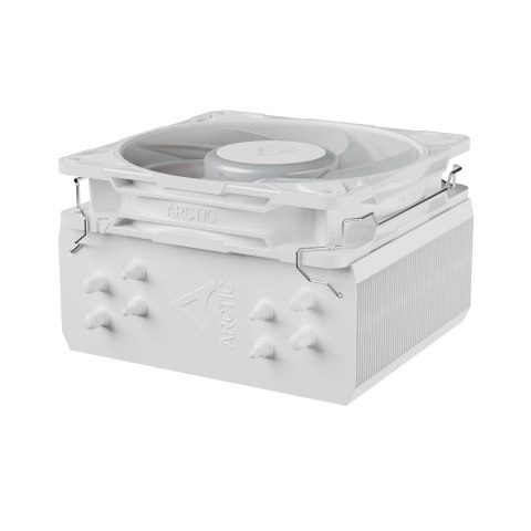 ARCTIC Freezer 36-S A-RGB Procesor Chłodnica powietrza 12 cm Biały 1 szt.
