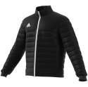 Adidas IB6070_205 płaszcz/kurtka