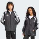 Adidas JY9726_520 płaszcz/kurtka