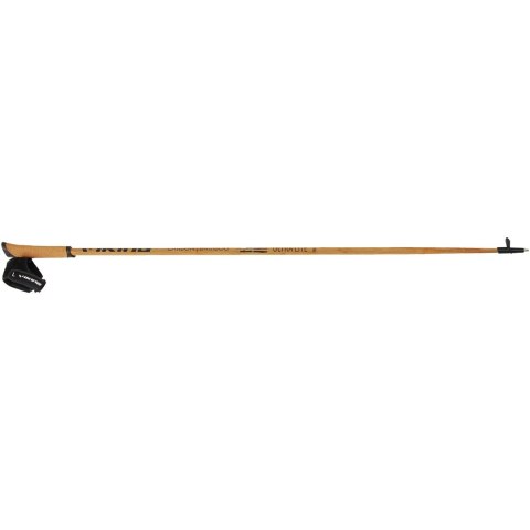 Kije Viking Expedition Carbo Nordic Walking 125