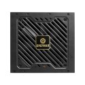 Enermax ERV650G-AHG-NAC moduł zasilaczy 650 W 20+4 pin ATX ATX Czarny