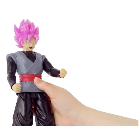 DRAGON BALL LIMIT BREAKER SPARKING - SS ROSE GOKU BLACK