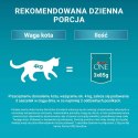 PURINA ONE Sensitive Cat GiGMVChkn&Crt 60x85g