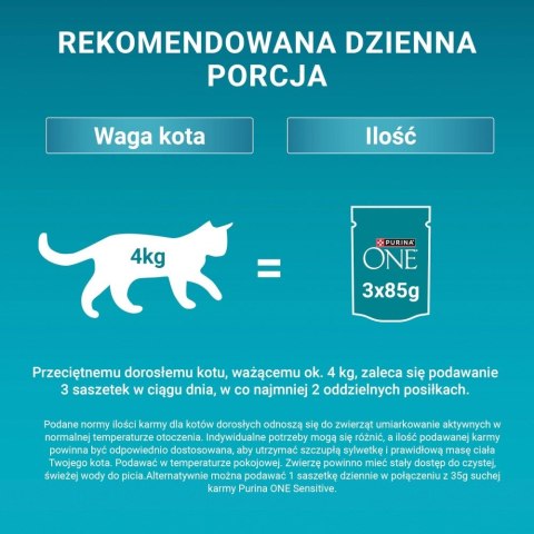 PURINA ONE Sensitive Cat GiGMVChkn&Crt 60x85g
