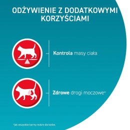 PURINA ONE Sterilcat GiG MVBf&Crt 60x85g