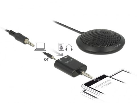 DELOCK Kondensator Tischmikrofon omnidir. f.Konferenz +3.5mm