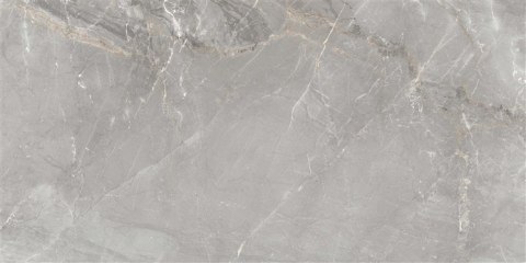 TILE CHARME GREY 60X120 (1.44)