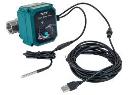 Frankever smart water valve I Inteligentny zwór wody DN25