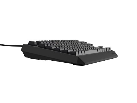 GENESIS Thor 230 TKL klawiatura Gaming USB QWERTY US English Czarny