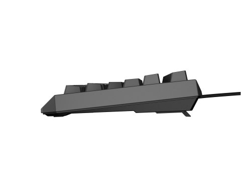 GENESIS Thor 230 TKL klawiatura Gaming USB QWERTY US English Czarny