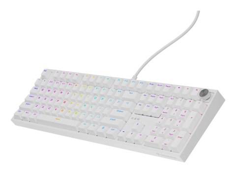 GENESIS NKG-2300 klawiatura Uniwersalne USB QWERTY Angielski Biały