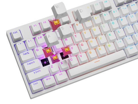 GENESIS NKG-2300 klawiatura Uniwersalne USB QWERTY Angielski Biały