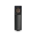 AKG C114 - mikrofon pojemnościowy z dużą membraną i wieloma charakterystykami kierunkowymi (czarny)