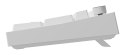 GENESIS NKG-2300 klawiatura Uniwersalne USB QWERTY Angielski Biały