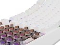 GENESIS Thor 230 TKL klawiatura USB + RF QWERTY