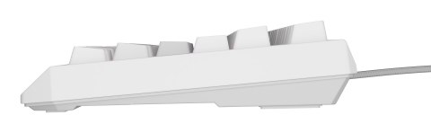 GENESIS Thor 230 TKL klawiatura USB + RF QWERTY