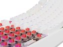 Klawiatura GENESIS Thor 230 TKL Gaming USB QWERTY US English Biały