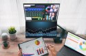 Acer PD193QEbmiuux monitor komputerowy 47 cm (18.5") 1920 x 1080 px Double Full HD LED Szary