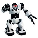 Robone RTR Robot zdalnie sterowany, programowanie ruchów