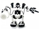 Robone RTR Robot zdalnie sterowany, programowanie ruchów