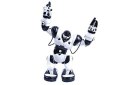 Robone RTR Robot zdalnie sterowany, programowanie ruchów