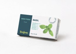 Tregren Basil, 2 seed pods, SEEDPOD03